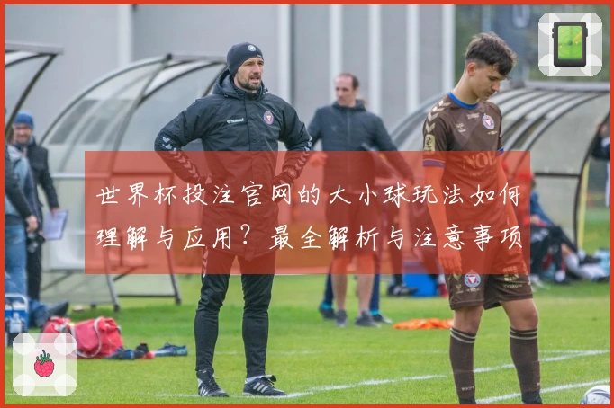 世界杯投注官网的大小球玩法如何理解与应用？最全解析与注意事项！