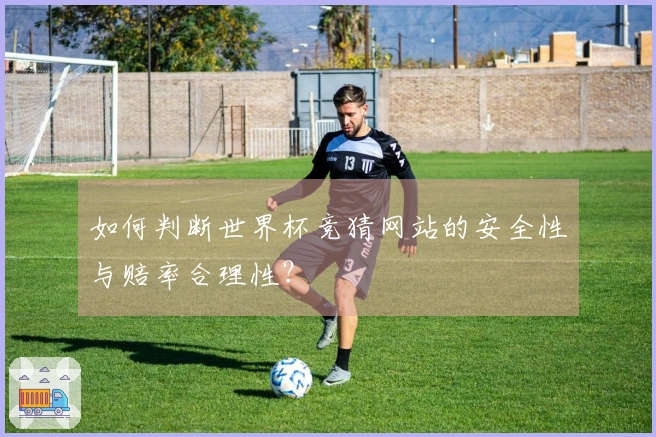 如何判断世界杯竞猜网站的安全性与赔率合理性？