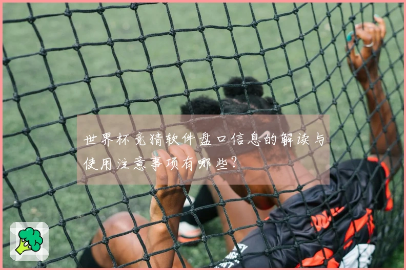 世界杯竞猜软件盘口信息的解读与使用注意事项有哪些？