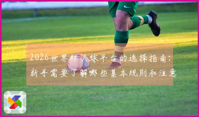 2026世界杯买球平台的选择指南：新手需要了解哪些基本规则和注意事项