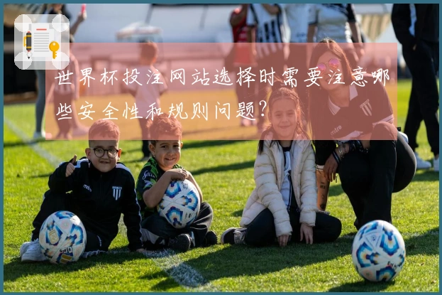 世界杯投注网站选择时需要注意哪些安全性和规则问题？