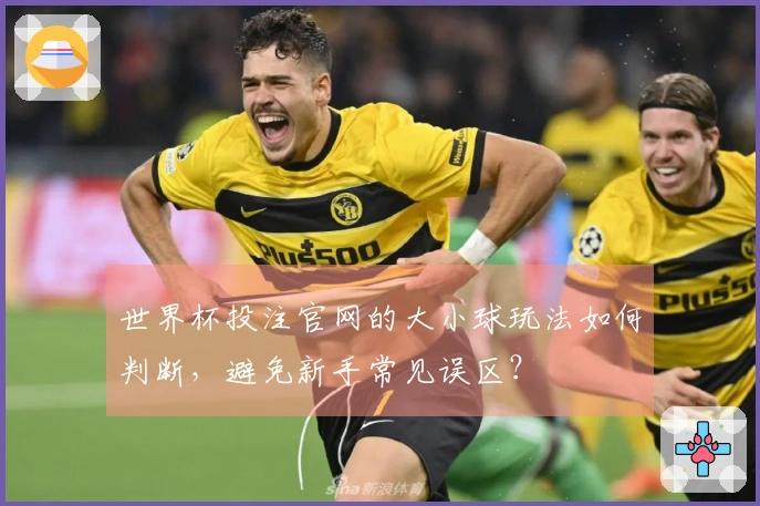 世界杯投注官网的大小球玩法如何判断，避免新手常见误区？