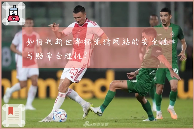 如何判断世界杯竞猜网站的安全性与赔率合理性？