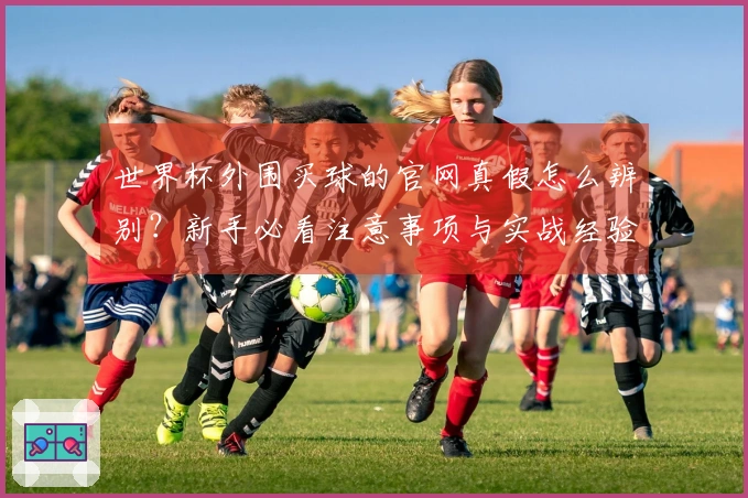世界杯外围买球的官网真假怎么辨别？新手必看注意事项与实战经验分享